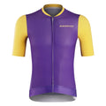 Man Cycling Maillot